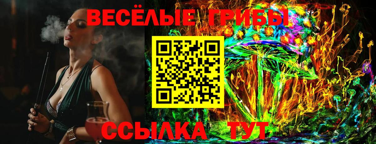 Черняховск  Псилоцибиновые грибы Psilocybe  Вход с VPN  Галлюциногенные грибы GOLDEN TEACHER 