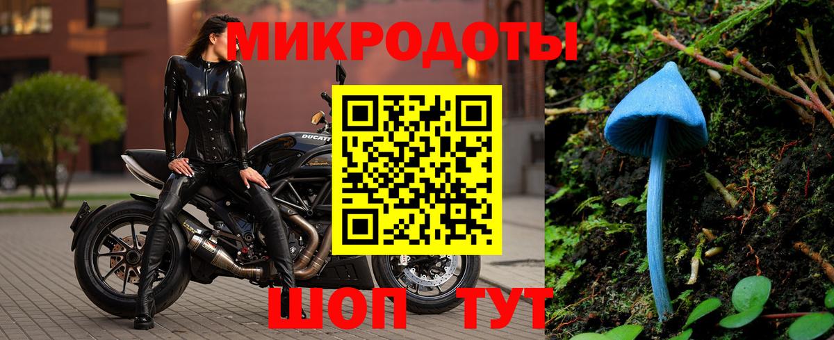 Псилоцибиновые грибы Psilocybine cubensis Черняховск
